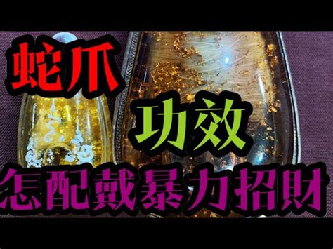 蛇爪禁忌|蛇爪佛牌禁忌及真相，功效强吗？